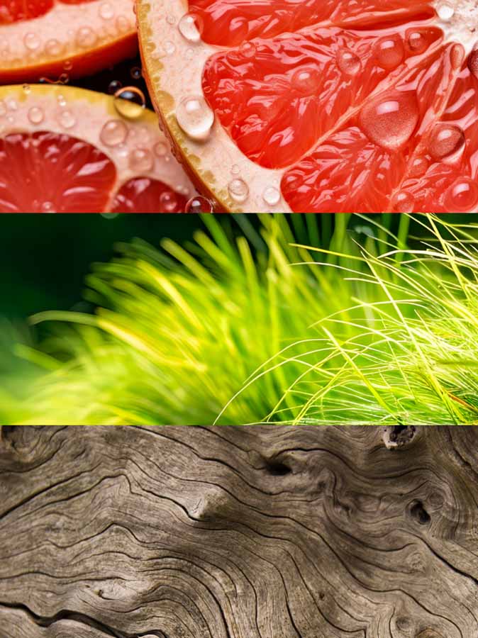 Copy of C_VVH16-SUN100.jpg