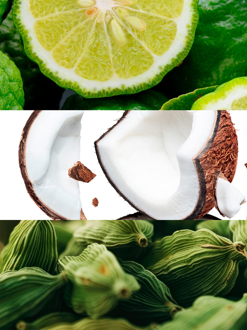 White Marea