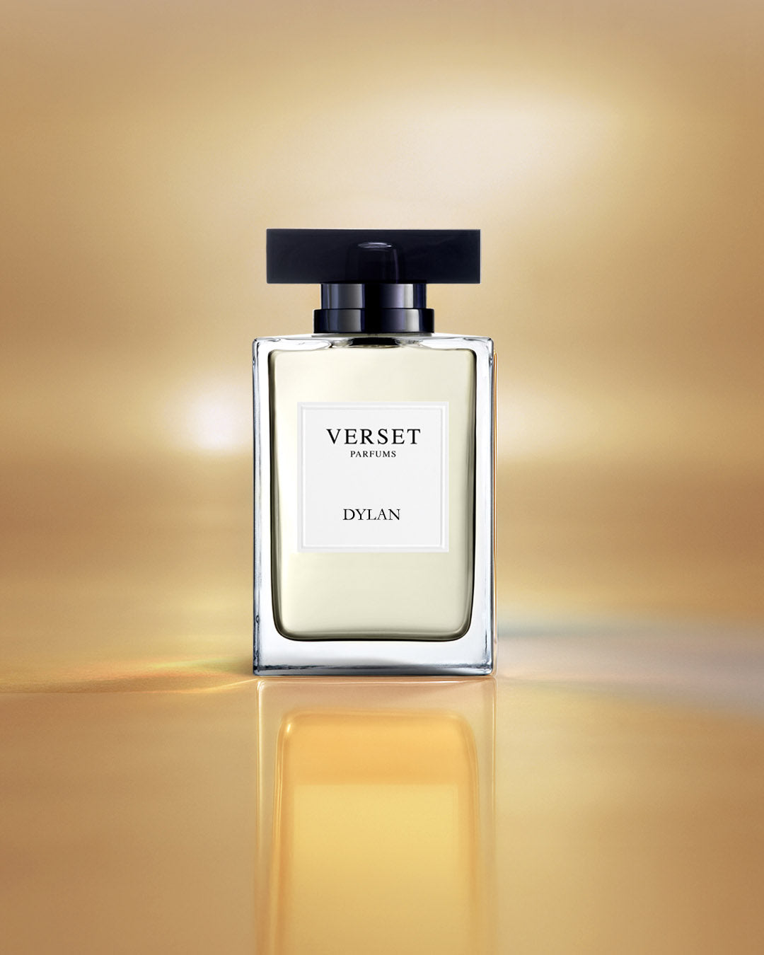 Copy of D_VVH16-DYL100.jpg